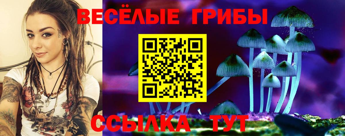 Галлюциногенные грибы Cubensis  Вход с VPN  Кольчугино  Галлюциногенные грибы Magic Shrooms 