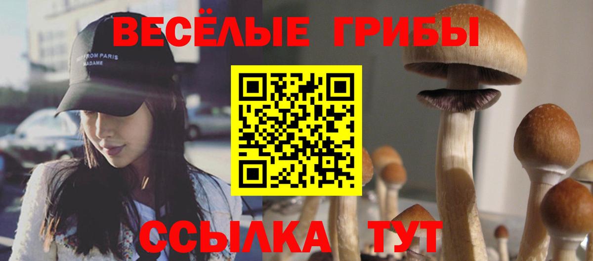 Галлюциногенные грибы мицелий Кольчугино